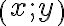\left(x; y\right) \left(x; y\right)