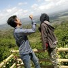 ANDIKA KRISMONDO 17405244001