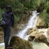 Picture of JULIA AVIONITA 14405241063