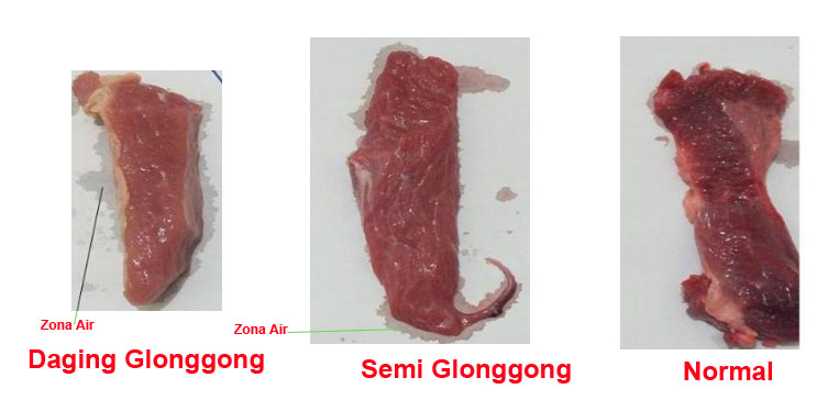 daging glonggongan