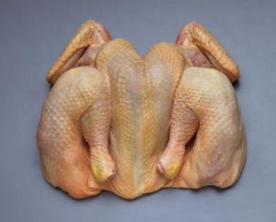 ayam tiren