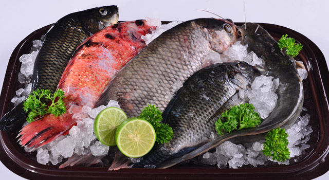 ikan