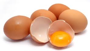 telur ayam