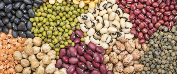 legume